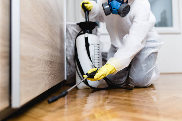Best Mosquito Control Services  in Whitesboro, TX