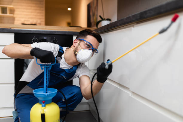 Best Wasp Removal Services  in Whitesboro, TX