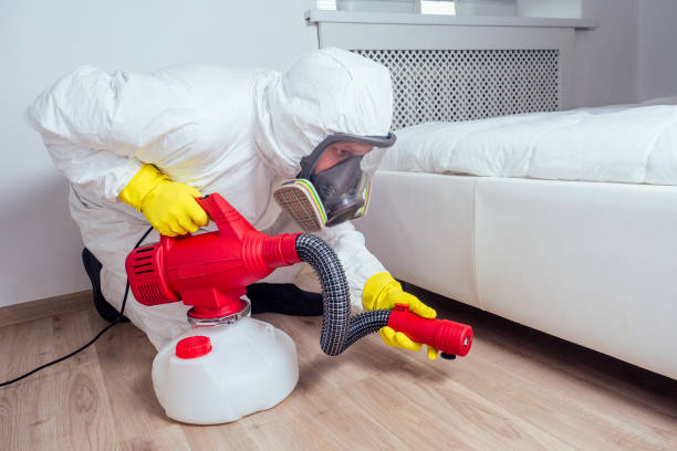 Reliable Whitesboro, TX Pest Control Solutions