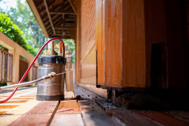 Best Mosquito Control Services  in Whitesboro, TX
