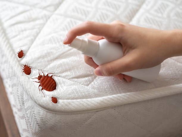 Best Residential Pest Control  in Whitesboro, TX