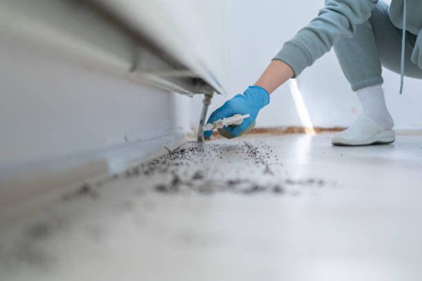 Best Best Pest Control Companies  in Whitesboro, TX